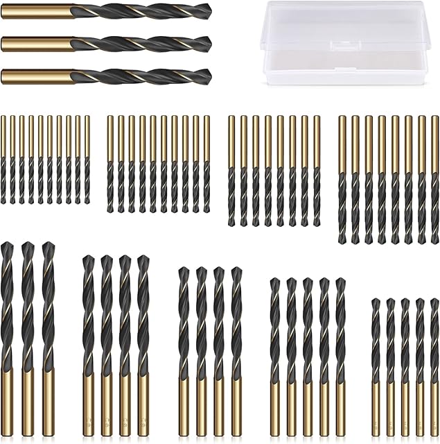 CYLBAQ 60pcs High Speed Steel Twist Drill Bits, HSS 4341 Gold Titanium and Black Nitride, 1mm-6mm Drill Bit Set for Drilling Steel, Alloy, Iron, Copper, Wood, Plastic, with Hard Storage Case