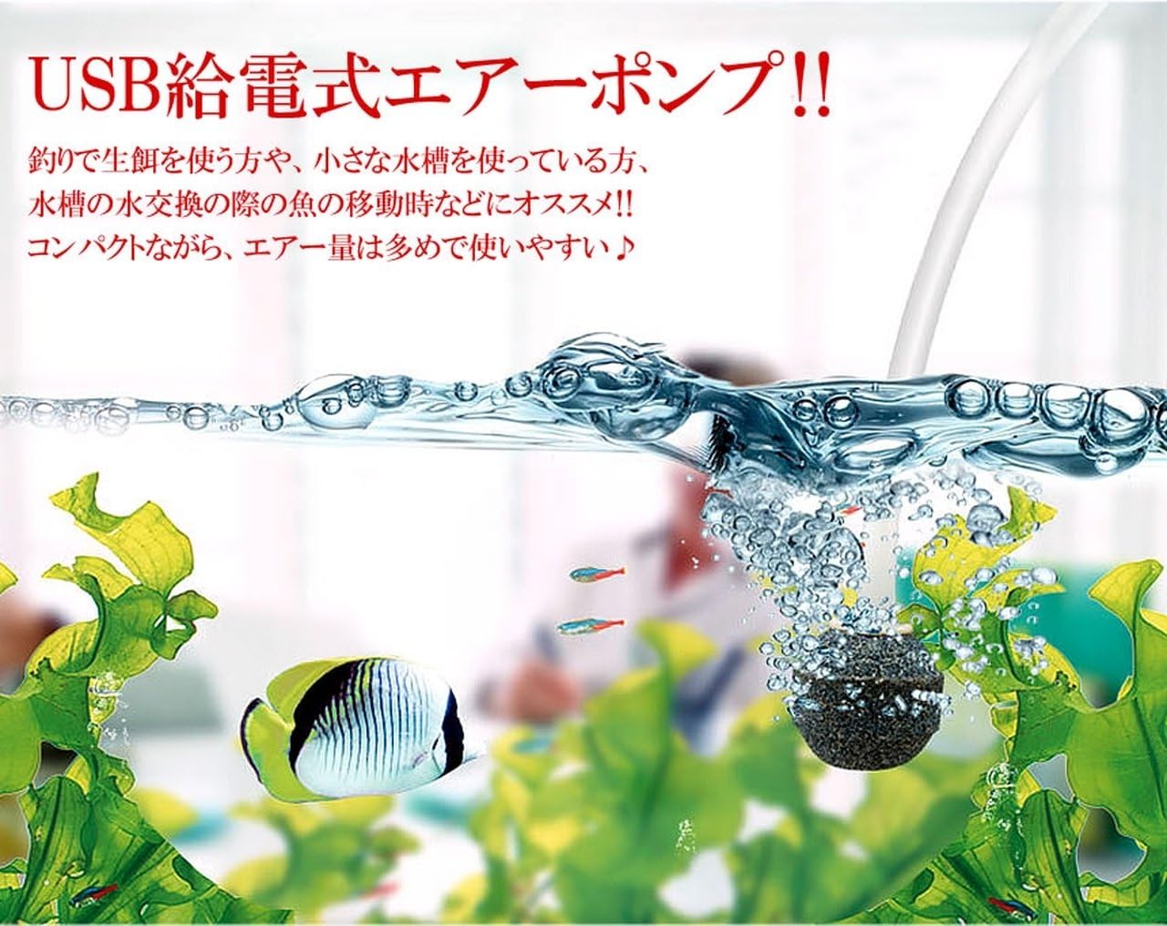 Amazon Co Jp Goodsland 静音 ゴムスタンド 付 電動 小型 エアー ポンプ Usb給電 ブクブク 静か 金魚 めだか 水槽 Gd Airpon Bl ペット用品