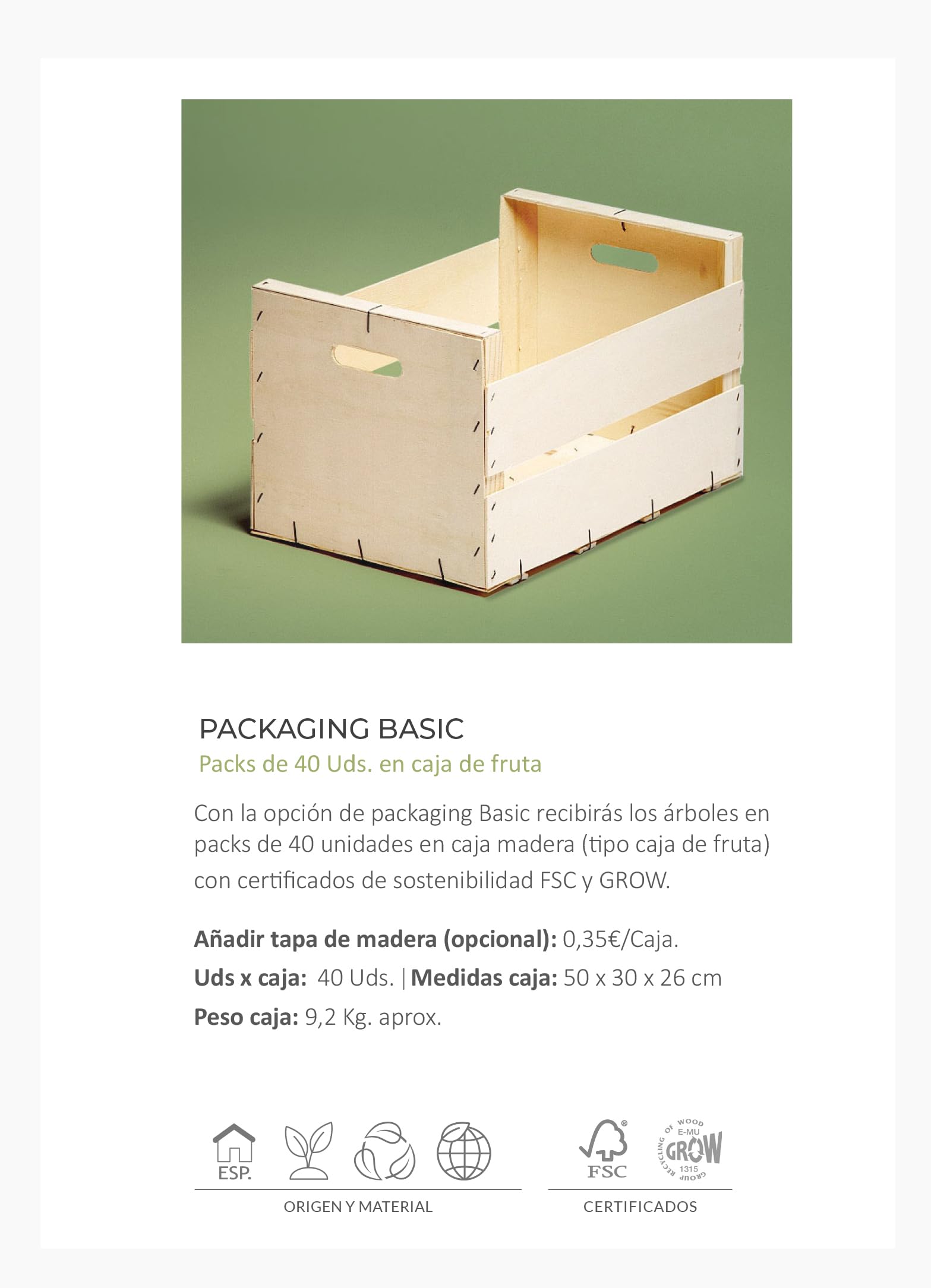 Pack de 12 Olivos Olea Europaea Arbequina en saco de saco de algodón - Árboles pequeños naturales para plantar - Regalos para invitados (Tarjeta stándard)