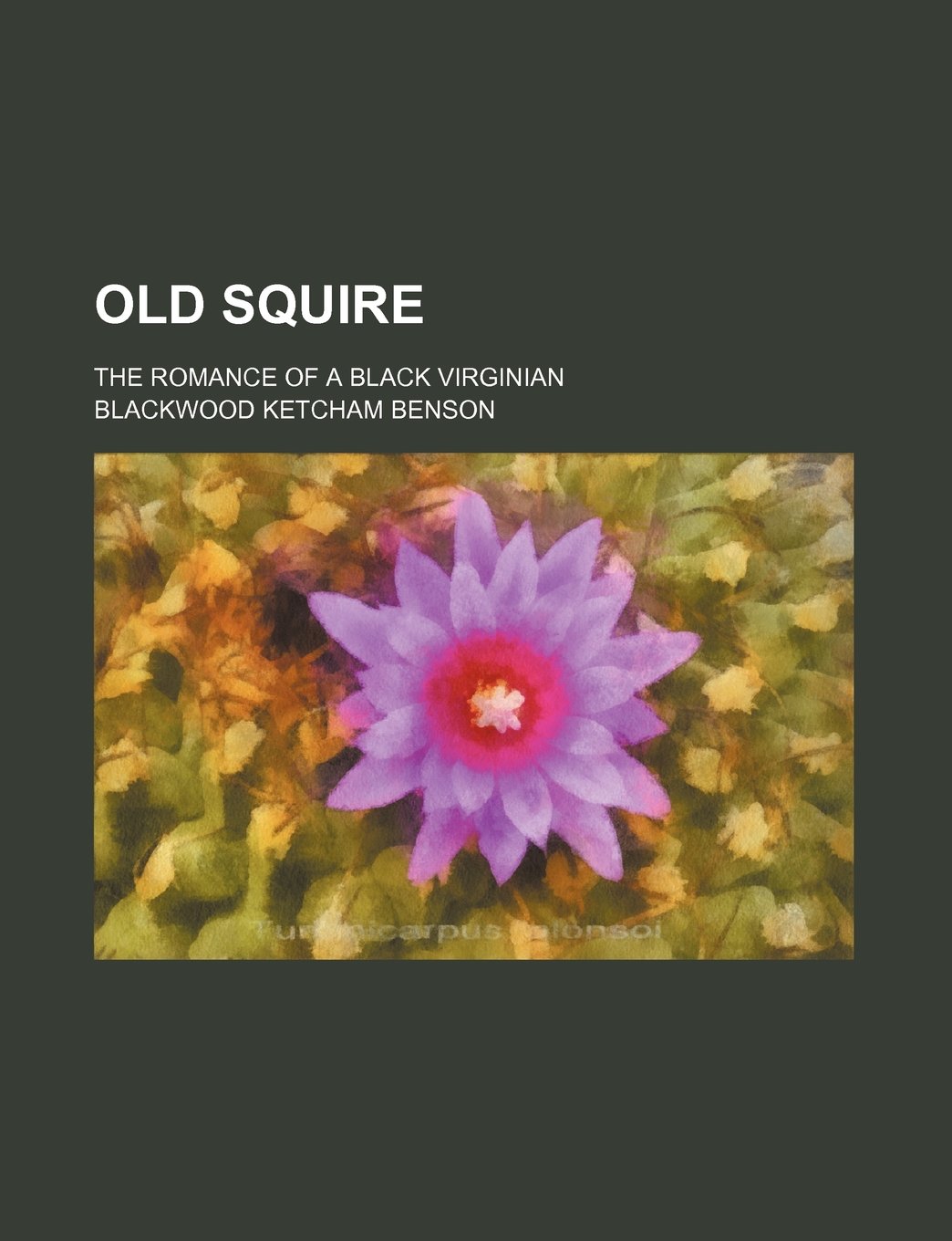 Old Squire; The Romance of a Black Virginian