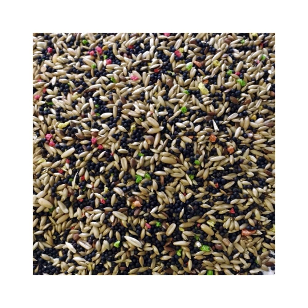 Canarios con Avena, Alimento Completo para Fringílidos, Mezcla de Semillas con Alpiste y Nabina, 25 kg