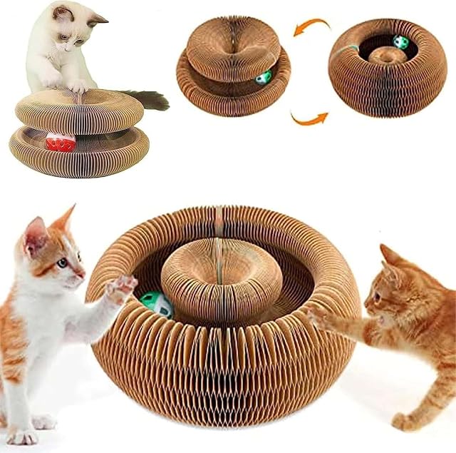 Foto 3 de 7 de Kitten Curl, Kitten Curl Toy, Kitten Kurls Cat Toy