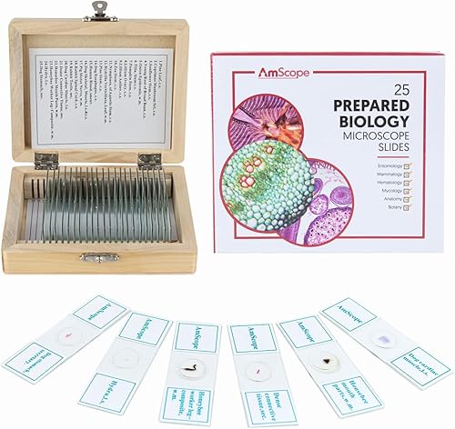 Miniatura 3 de Súper ahorro microscopio monocular portátil para estudiantes 40X-1000X con juego de diapositivas preparadas de 25 piezas y pinzas, además de