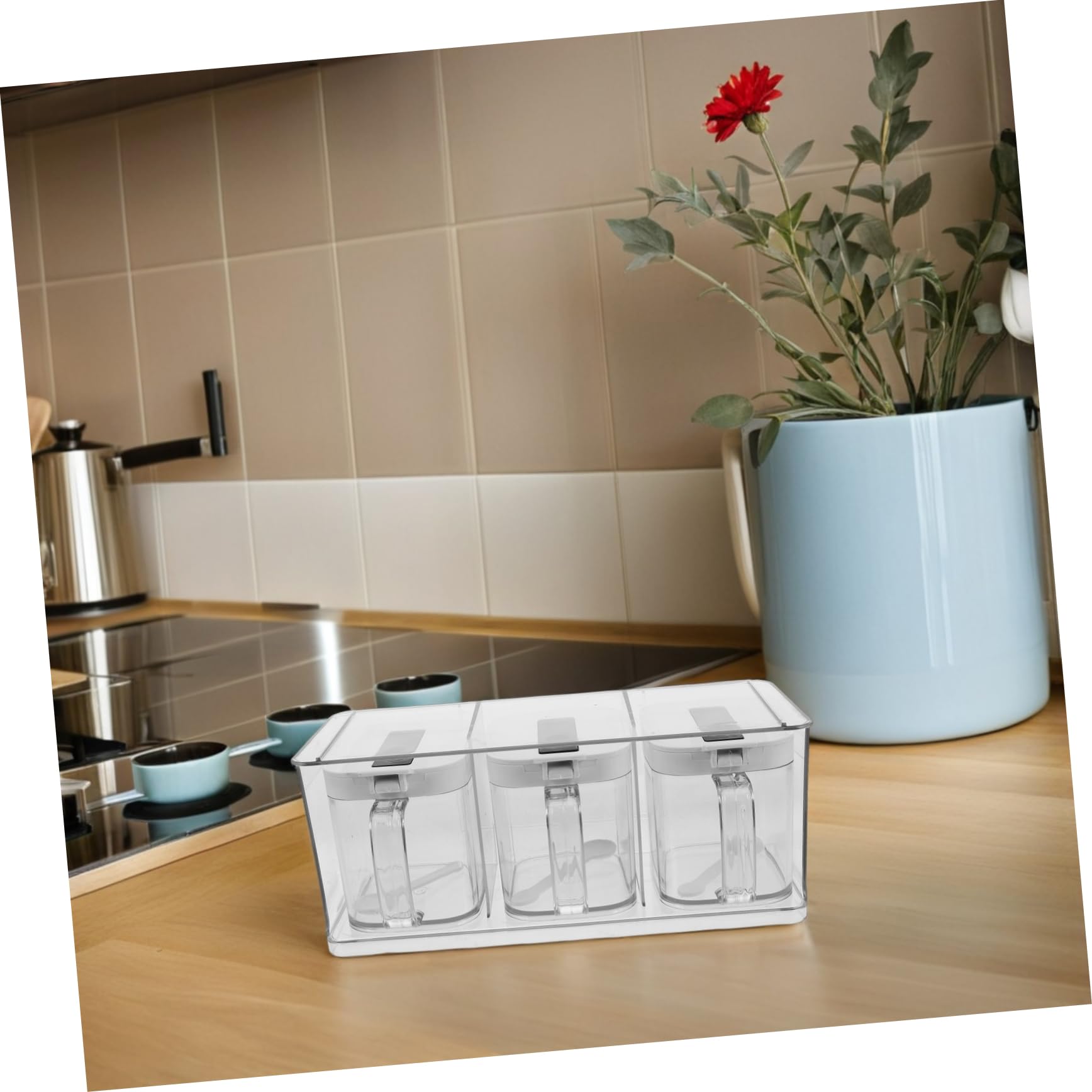 LIFKOME Boîte à Épices Cuisine en Pet avec Couvercle, Ensemble 1 Set, Rangement Multifonctionnel pour Sel et Huile, Design Simple et Élégant, Montage Mural pour Accès Rapide