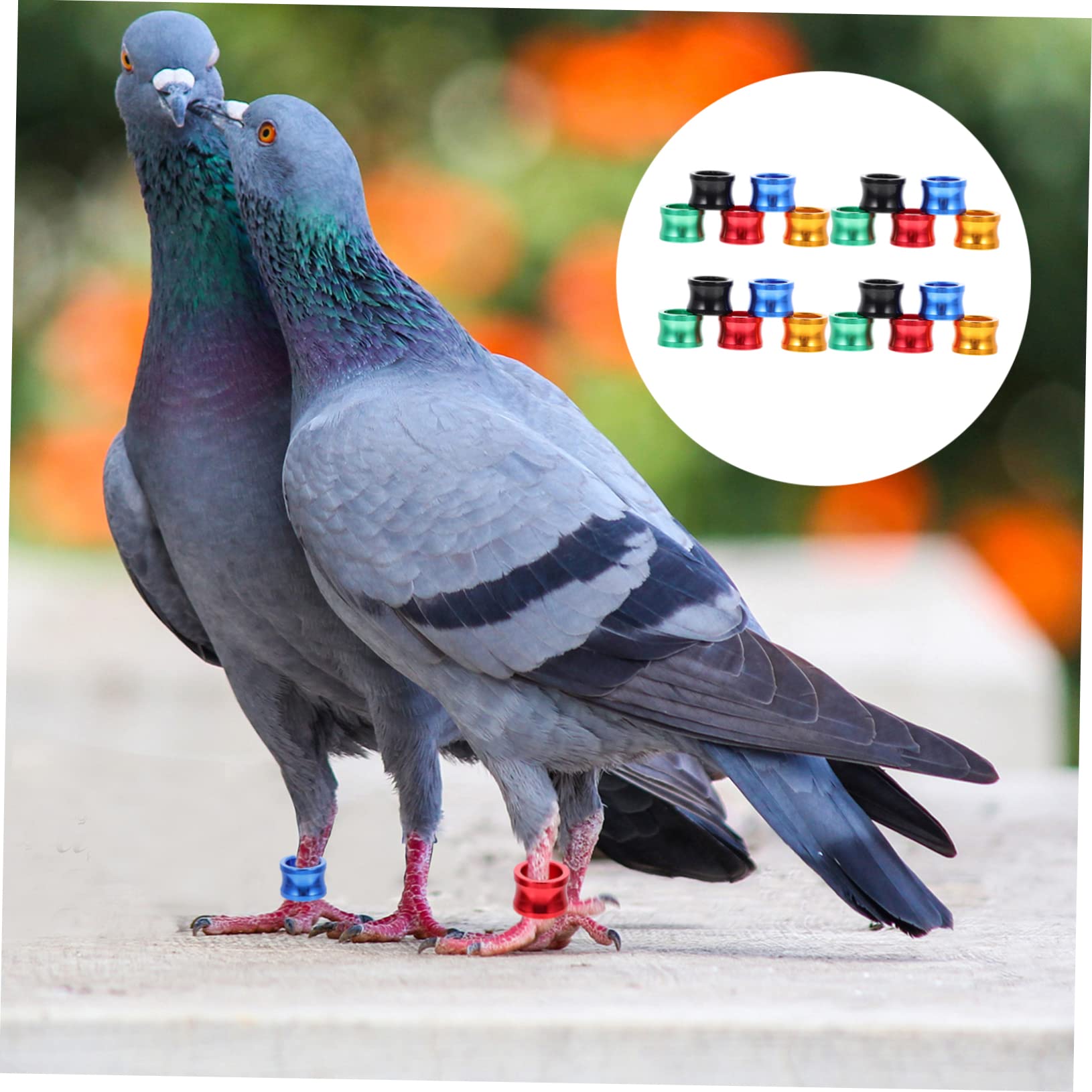 Sosoport 100piezas Anillas De Identificación para Coloridas Anillos De para Aves De Distinción para De y Aves