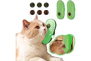 2 Pcs Cat Wall Balls: The Purrfect Indoor Entertainment for Your Feline Friend