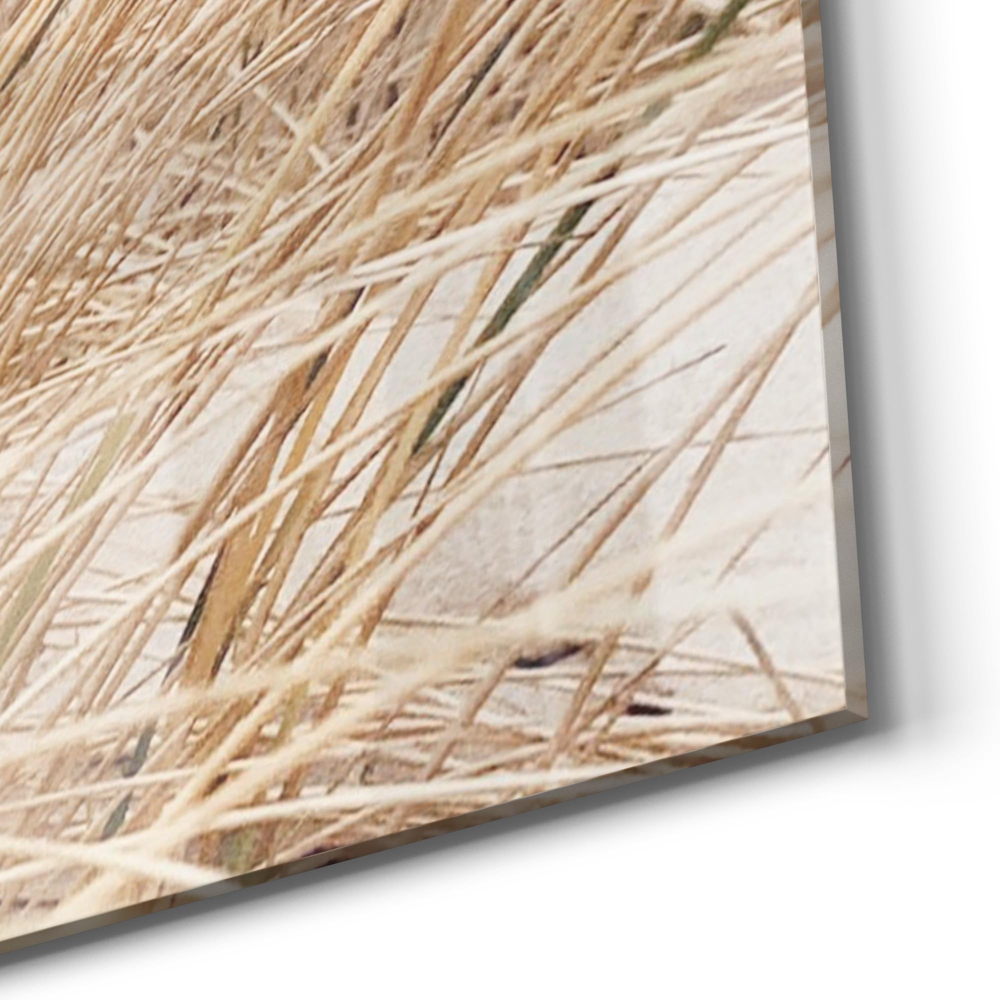 DEQORI Szklana tablica magnetyczna | wymiary 120 x 90 cm | motyw "Zimowa plaża cisza" | tablica memo ze szkła | tablica magnetyczna z magnesami, długopisem i chusteczką do kuchni i biura | tablica