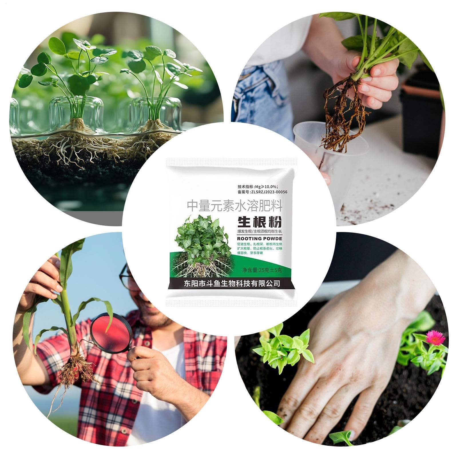 Polvo De Enraizamiento - Fertilizante para Esquejes,Polvo de Raíces para Plantas,para Agricultura Jardín Césped Patio Verduras Frutas Suelo Plantas de Interior