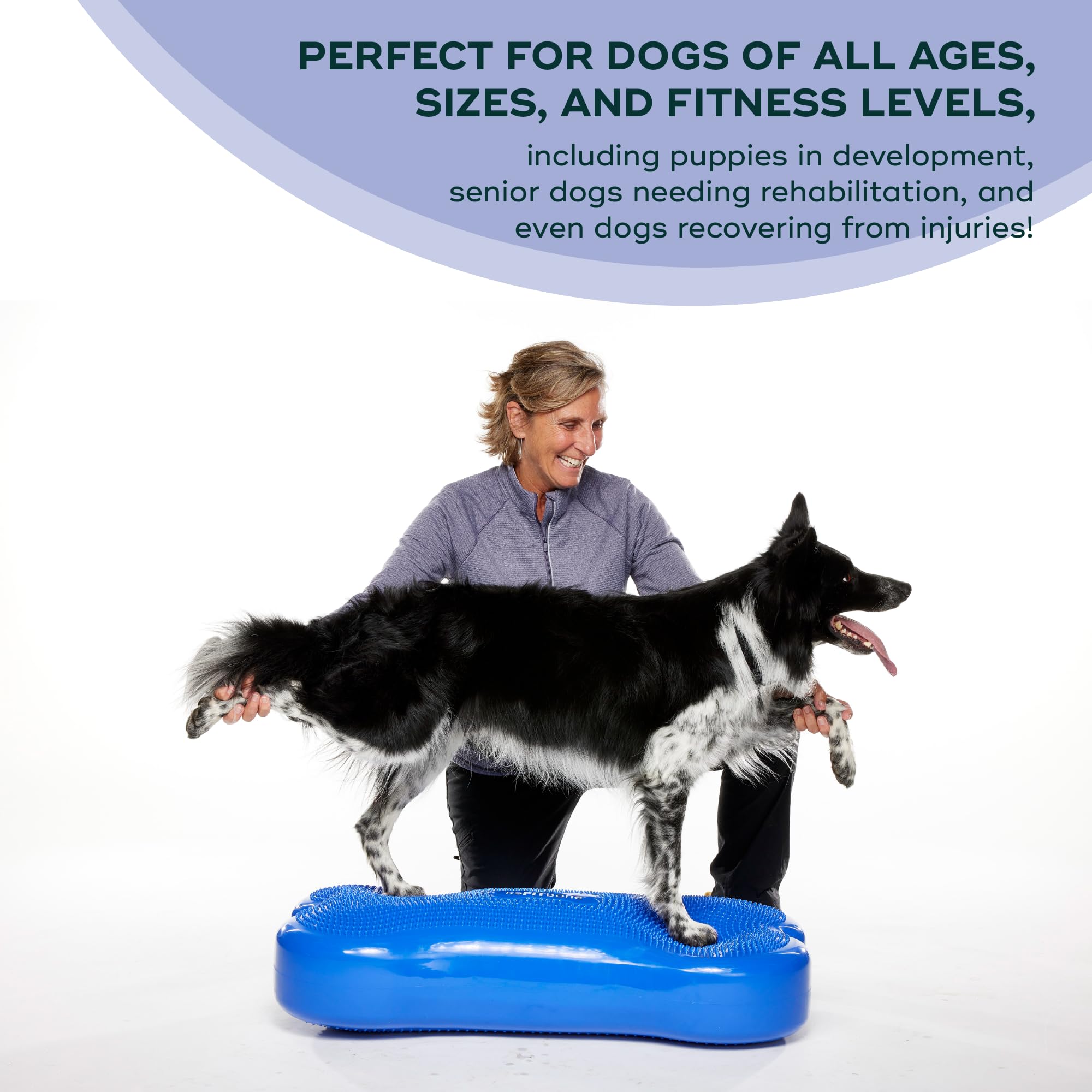 Amazon.com: FitPAWS® K9FITbone® - Giant, Blue | Dog Balance
