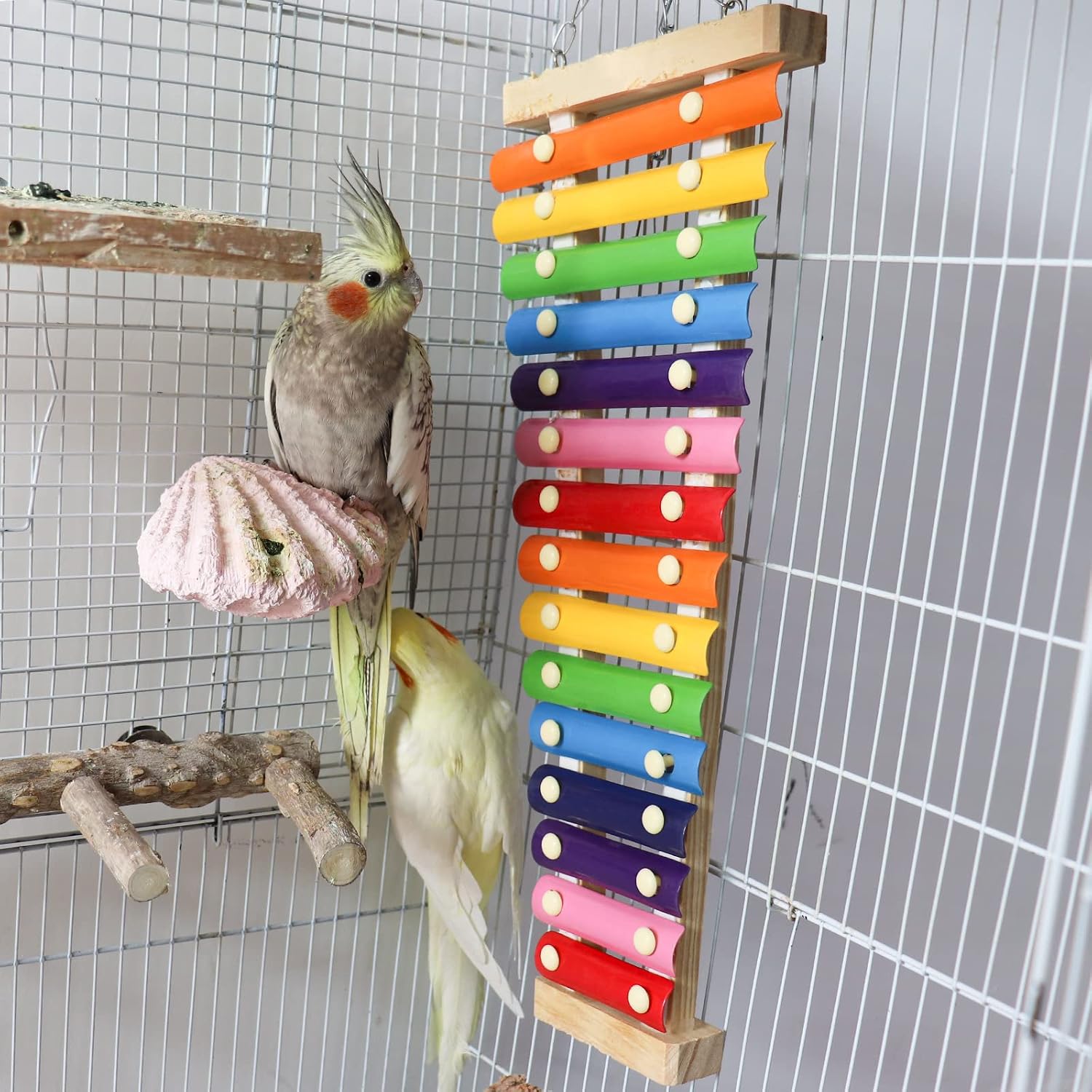 Dnoifne Large Colorful Bird Xylophone Toy, Suspensible Funny Xylophone Toy with 15 Metal Keys, Cage Accessories for Chicken Chick Birds Parrots Parakeets Cockatiels Budgies Love Birds image 4