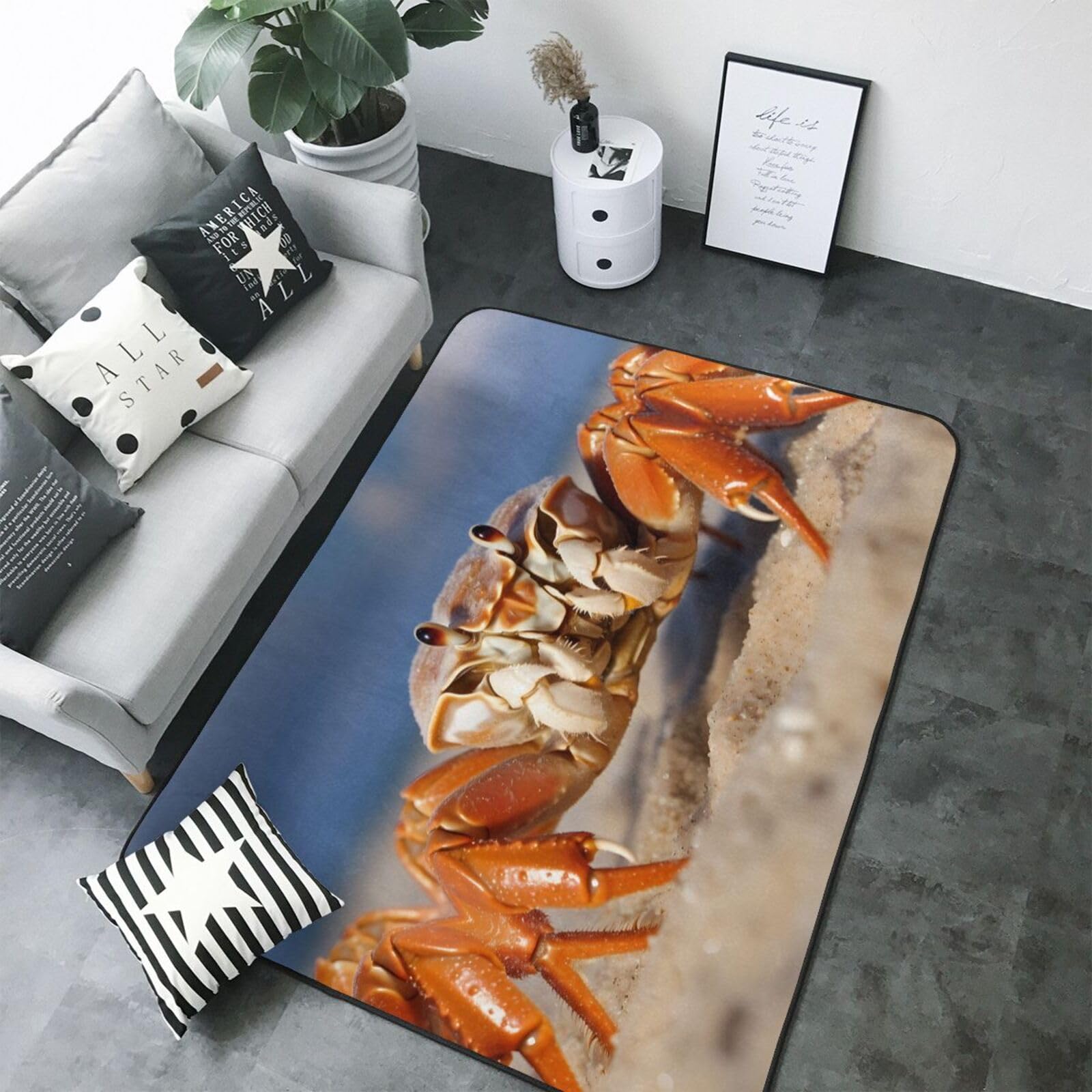 Krabben-Flanell – 203 x 147 cm Schlafzimmer Bodenmatte – Wohnzimmer Schlafzimmer Bodenmatte