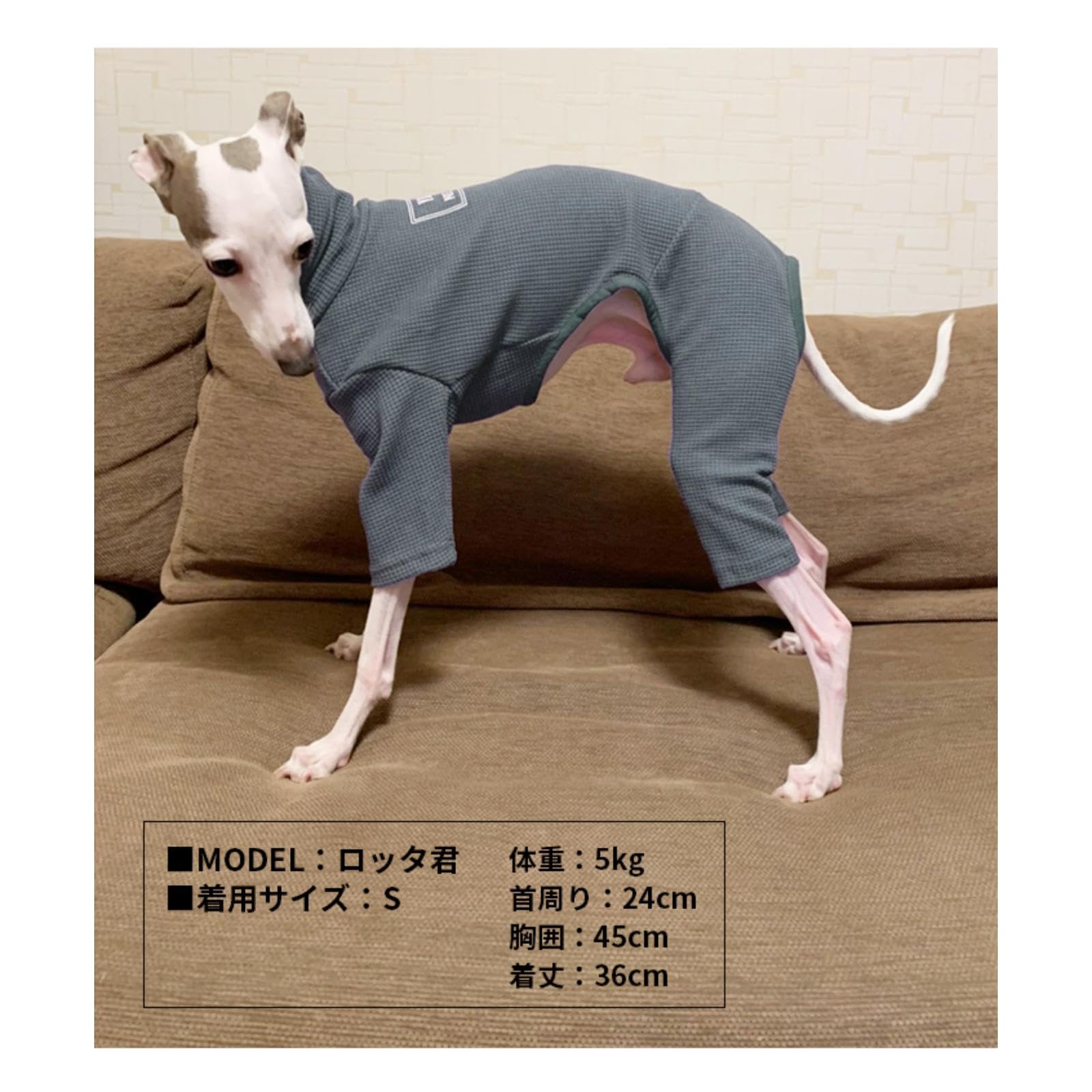 Amazon | イタリアングレーハウンド 服 イタグレ イタグレ専用服