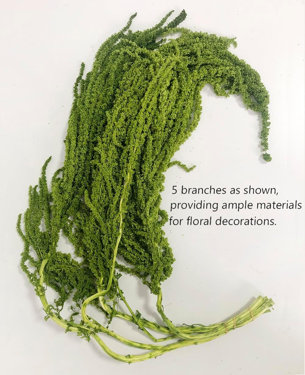 Bleached Wisteria Vine Hanging Dried Flowers with Lavender Dried Flower Rack