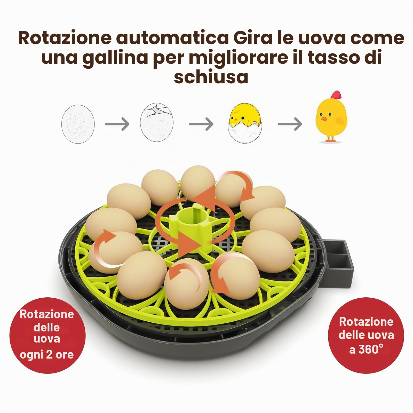 Incubatrice Automatica per 12 Uova con Umidità, Alimentazione Acqua, Rotazione Automatica delle Uova e Controllo della Temperatura per Polli, Quaglie, Anatre e Uova di Pollame.