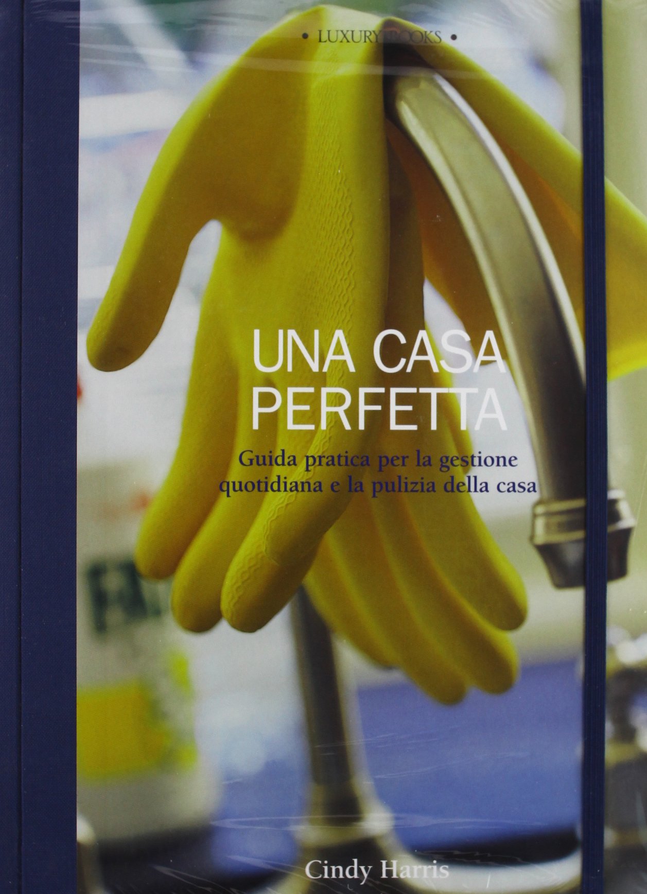 Una casa perfetta. Guida pratica per la gestione quotidiana e la pulizia della casa. Ediz. illustrata