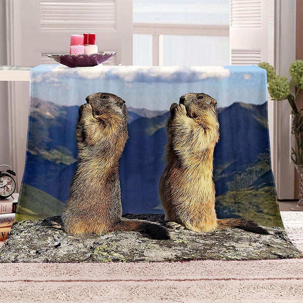 Couverture Marmotte de la Colline, le plaid doux idéal pour votre pause déjeuner au bureau