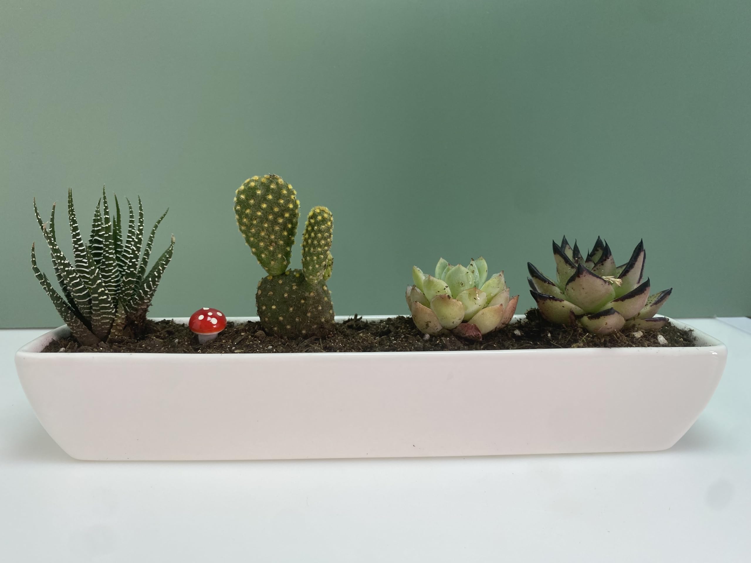 28,2 cm lange, rechteckige weiße Keramik-Sukkulenten-Übertöpfe mit Keramik-Untertassen, Mini-Blumen-Pflanzbehälter, Blumenkästen für Büro/Zuhause, 2 Stück rechteckige Töpfe