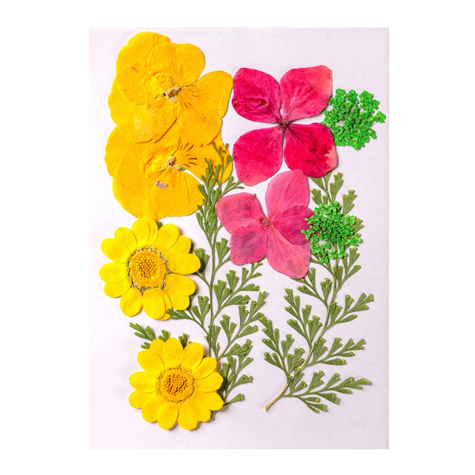 Hshduti Yellow Red 10 Pcs Dried Pressed Flowers For Resin, Real Pressed Flowers Dry Leaves Bulk Natural Herbs Kit For Scrapbooking Diy Art Crafts, Epoxy Resin Jewelry Molds, Candle, Soap Making, Nails Décor
