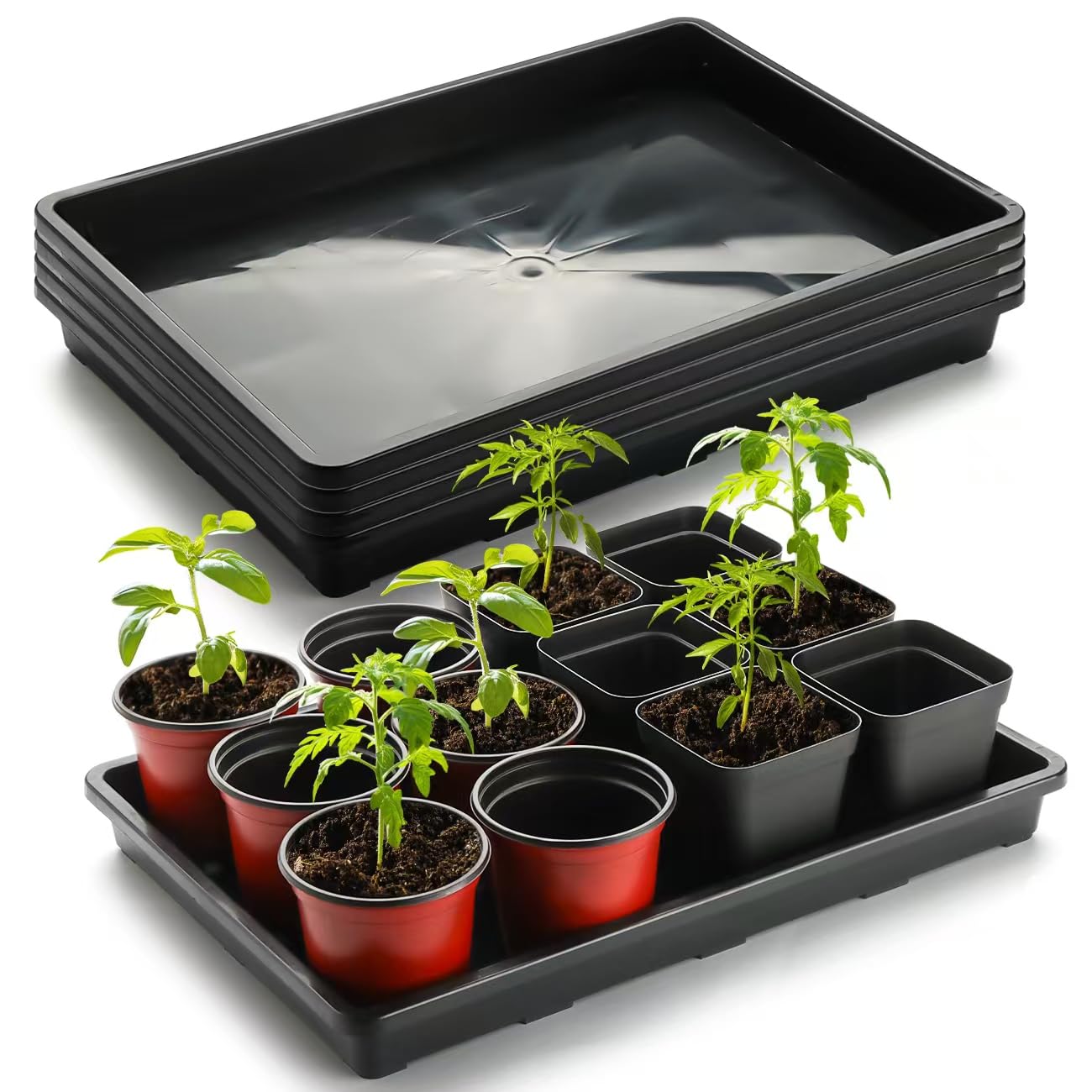 RooTrimmer 5 Pack Nursery Potting Tray