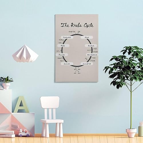 Miniatura 4 de Krebs Cycle - Póster de biología del ciclo TCA de la nutrición, póster educativo, arte de pared, lienzo, decoración de pared, decoración del hogar,