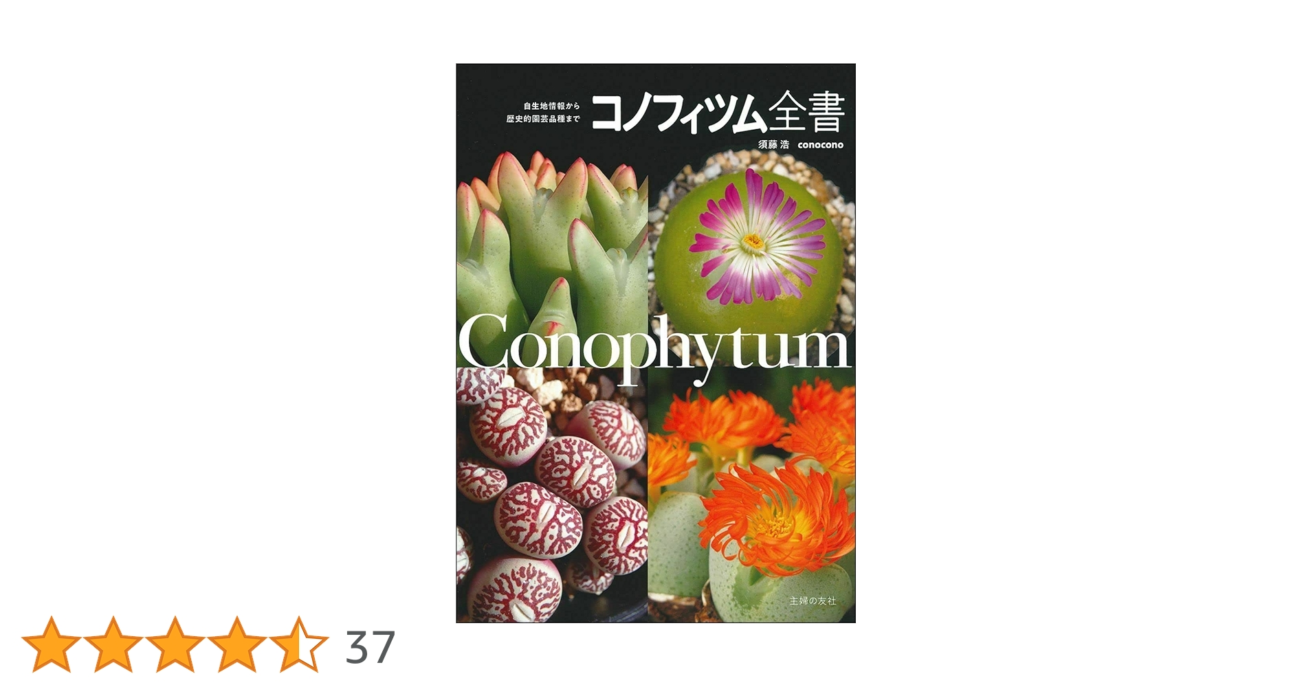 コノフィツム全書 コノフィツム全書 | conocono /須藤浩 |本 | 通販 | Amazon