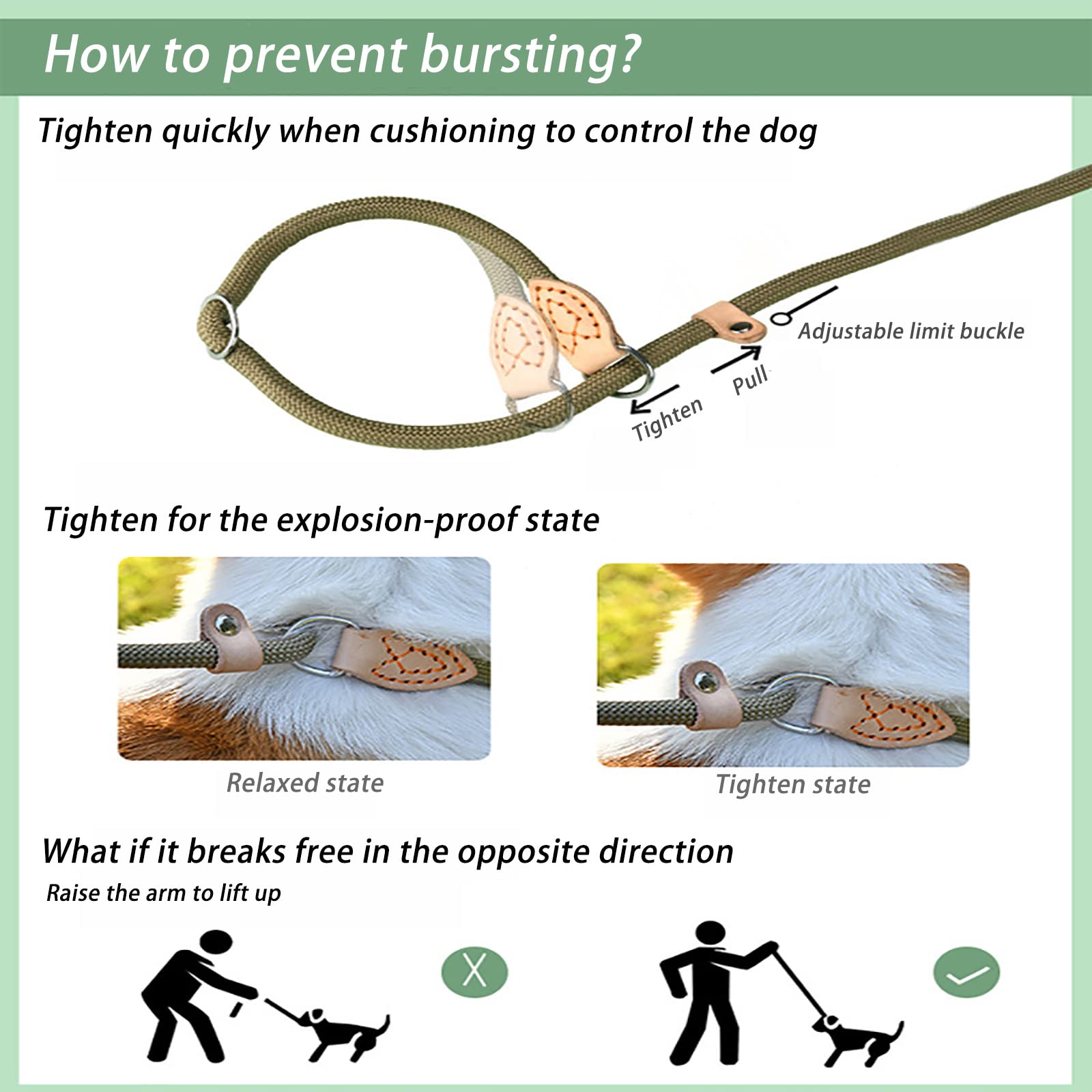 Generic Laisse Longue pour Chien en Nylon avec Poignée Confortable Laisse Chien, Laisse Corde pour Petits, Moyens et Grands Chiens pour la Marche Quotidienne et Le Dressage