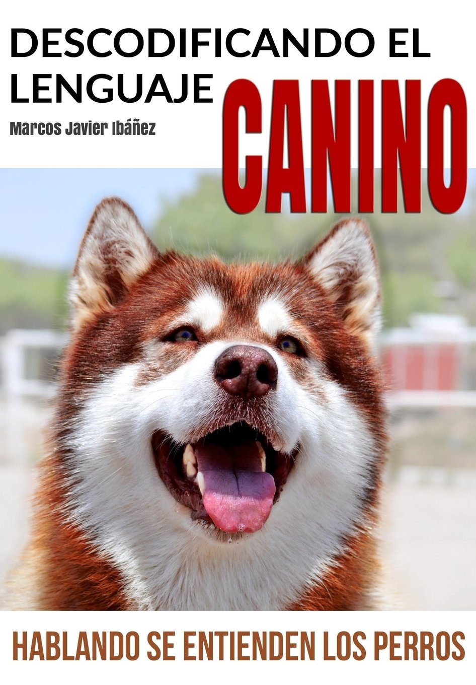 Descodificando el Lenguaje Canino: Hablando se entienden los