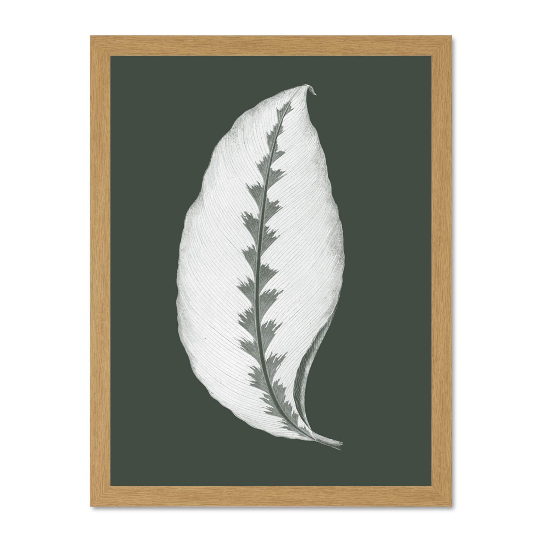 Wee Blue Coo Botanics Hunter Green Jungle Leaf Large Light Oak Framed Art Print Wall Poster 18x24 inch