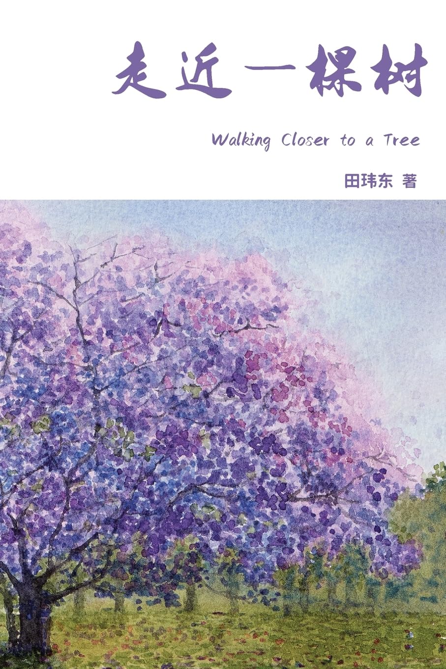 Walking Closer to a Tree: Simplified Chinese Edition
