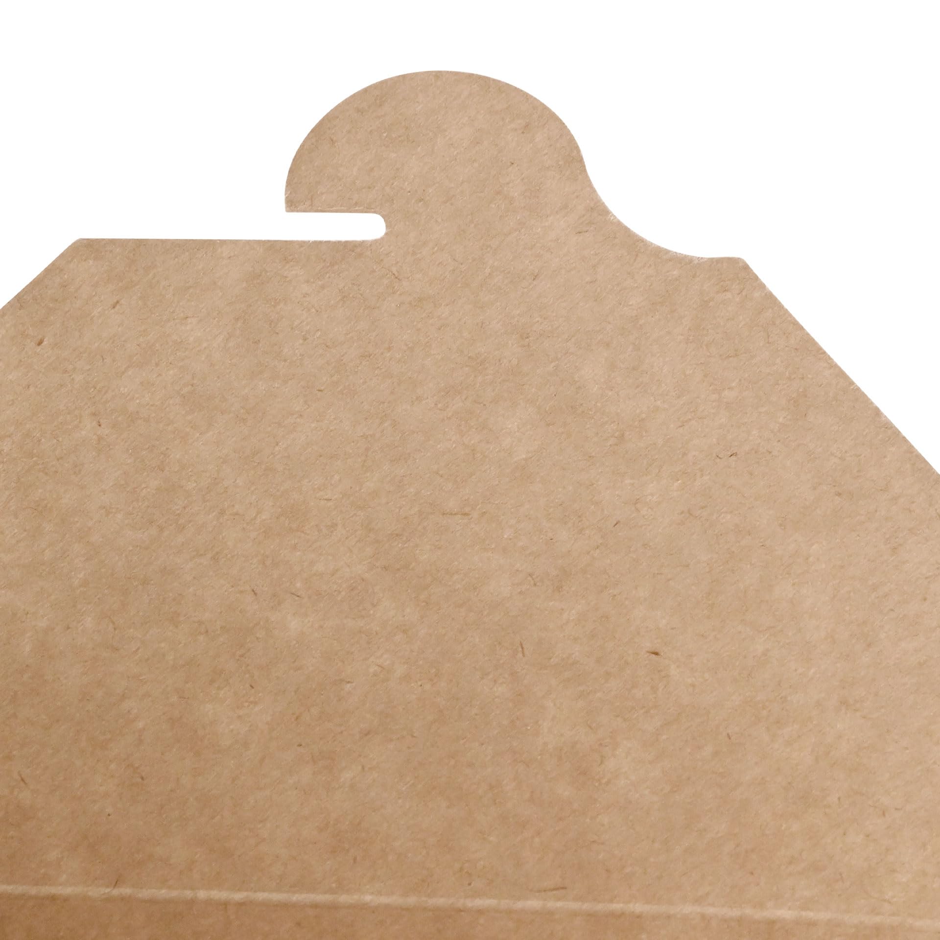 BIOZOYG Take Away Box Essen 160 Stück 2500 ml Kraftkarton Braun - Lunchbox Faltbare Deckel PE beschichtet - Snackbox Einwegschalen Karton Pappschalen Nudelbox Speisebox für Essen Ramen, Nudeln To Go