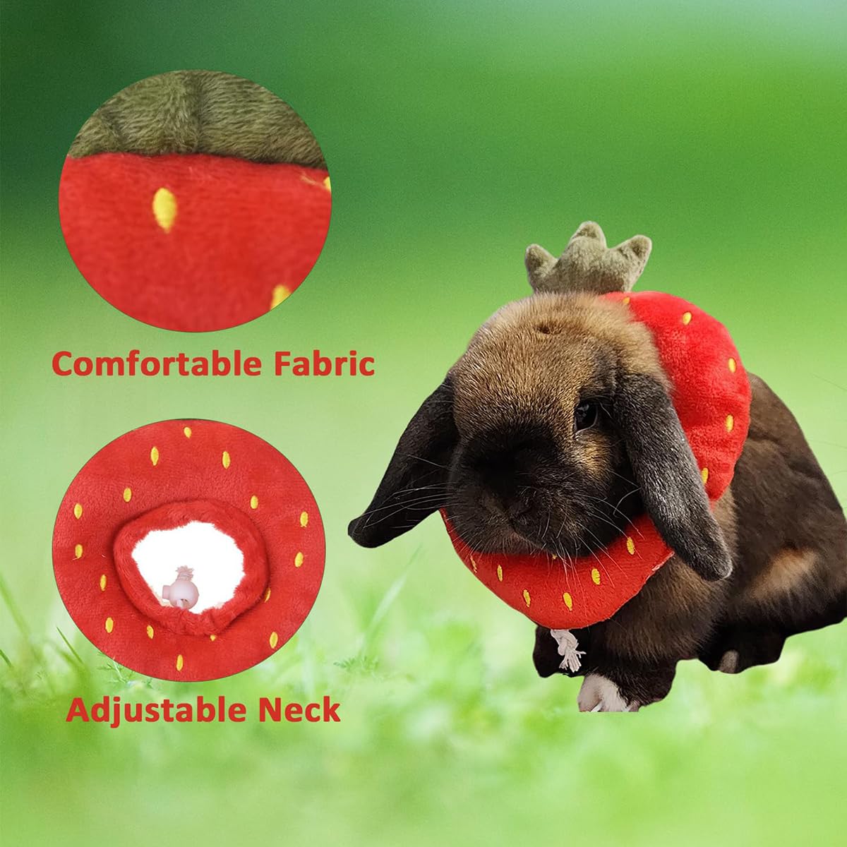 Collier de récupération pour lapin Elizabeth Cône de protection taille unique