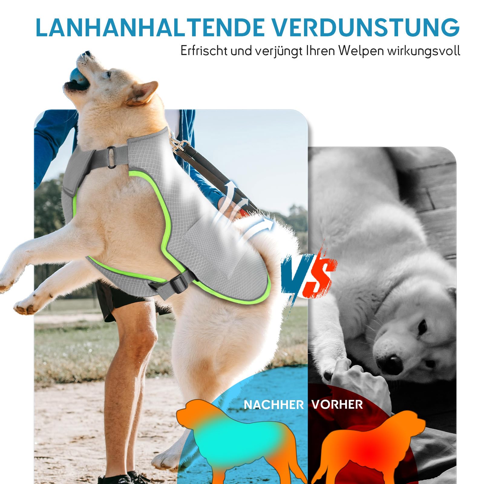 Kühlweste Hund mit 2 Gel-Eisbeutel Hundekühlwesten Reflektierende und Atmungsaktive Kühlmantel Kühljacke für Große Mittlere Hunde kühlhalsband Sonnenschutz kühlung Sommer Grau L