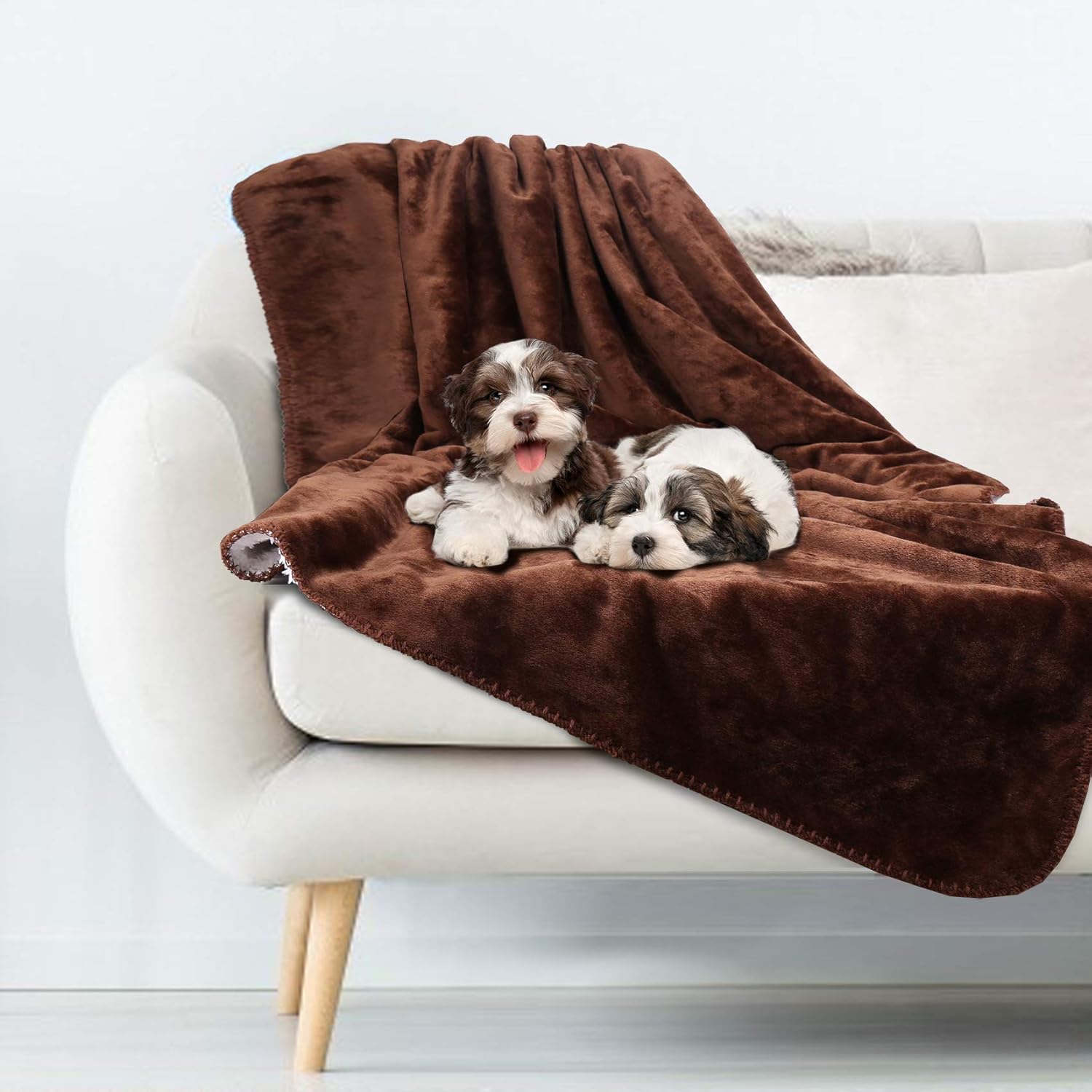Outamateur Waterproof Pet Blankets Dog Puppy Cat Kitten Blanket Washable Soft Plush Throw Protects Couch, Chairs, Car, or Bed from Spills, Stains (40" x 30", Brown) : Pet Supplies