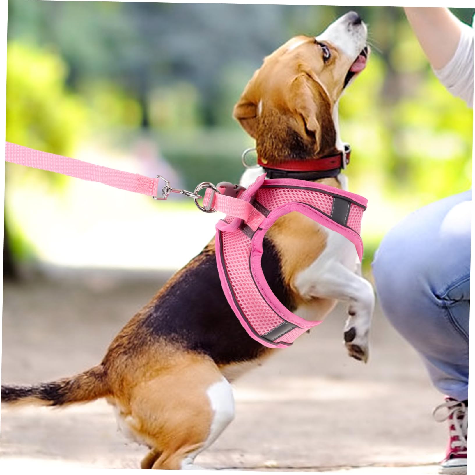 SUPVOX 5juegos Arnés y Correa Reflectantes para Perros Pequeños De Arnés Antitirones Transpirable y Correa para Paseos Al Aire