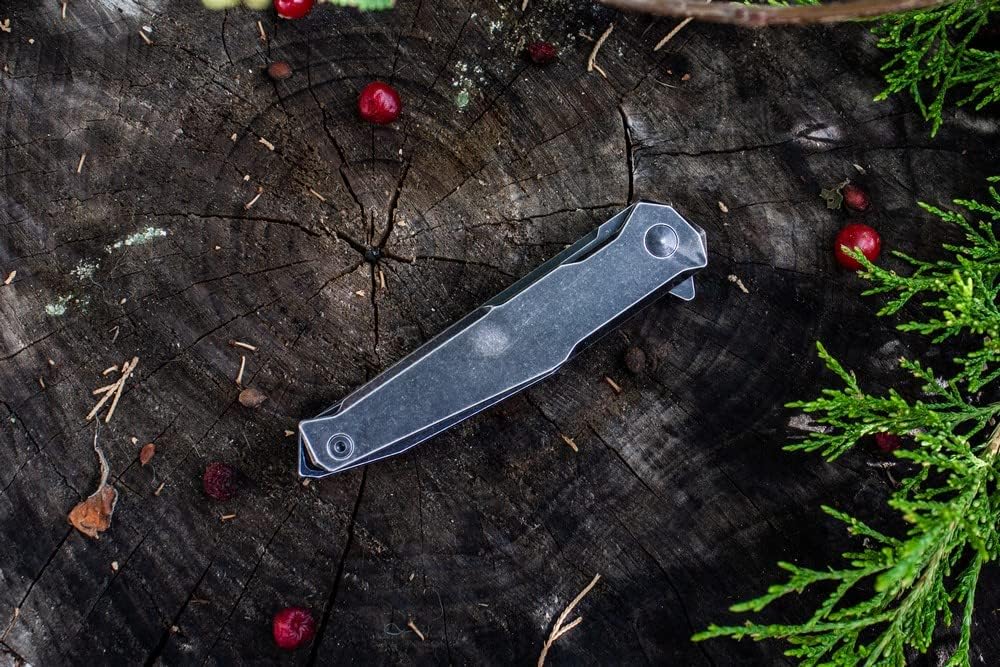 Ruike Tactical Pocket Knife for men Folding Knife Frame Lock 14C28N Steel Camping Knives Small Hiking Work Utility Knife Blet Clip Women Gifts EDC Tool Gear P108-SB