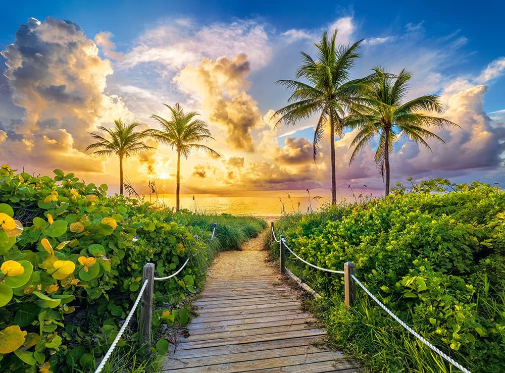 Castorland 3000 Piece Jigsaw Puzzles, Colorful Sunrise in Miami, USA, Adult Puzzles, Castorland C-300617-2