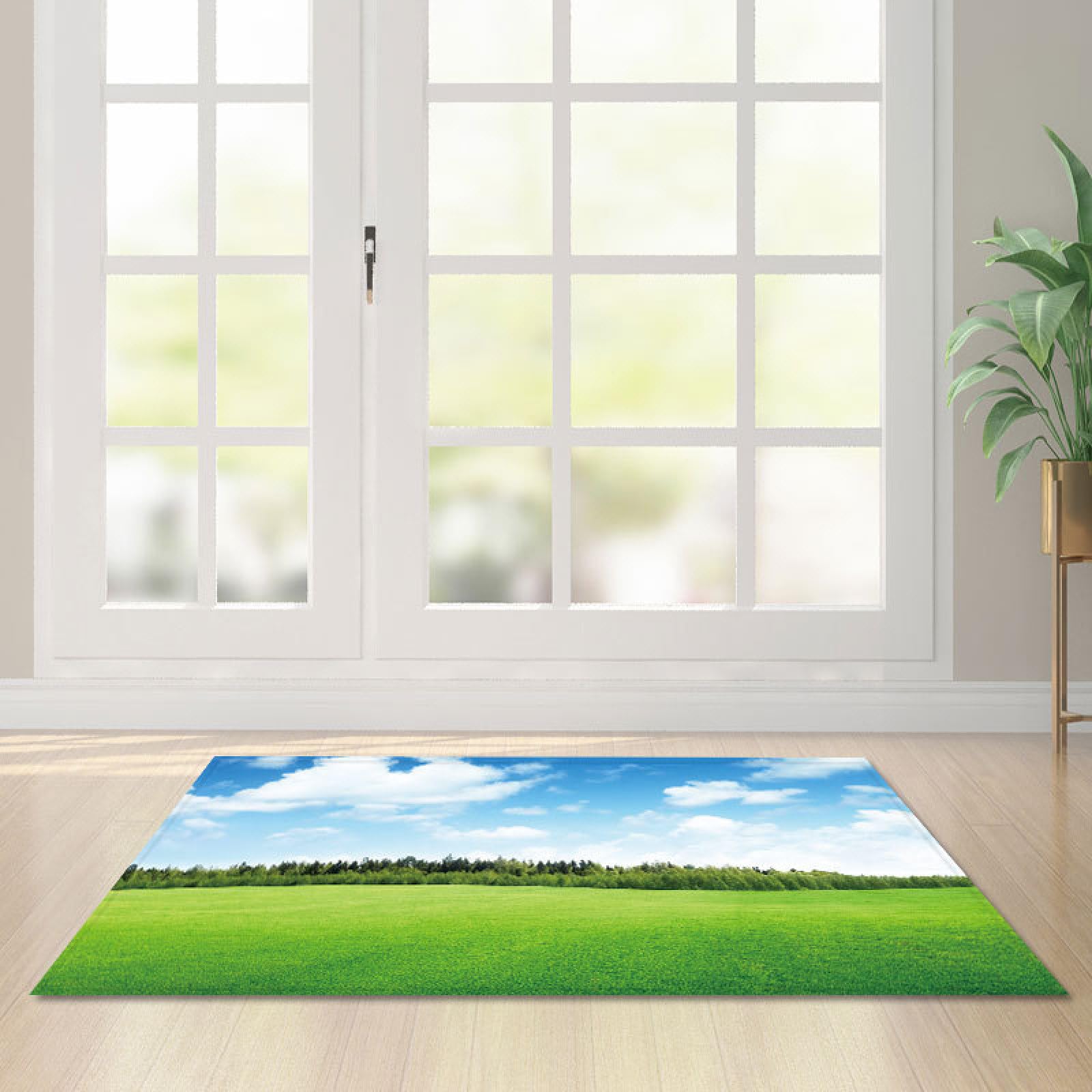 Paillasson extérieur intérieur rug salon chambre lavable 120x160