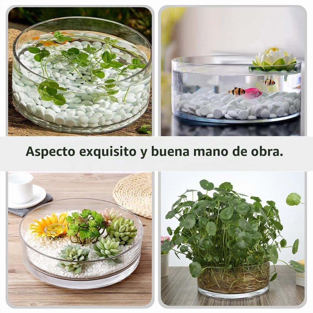 FOMIYES Jarrón cilíndrico Ancho de Vidrio, jarrón Transparente para Flores, Maceta hidropónica de Cristal, Maceta para terrario, Cuencos de Cristal, centros de Mesa, jarrón para Plantas