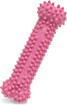 Maple's favorite teething bone