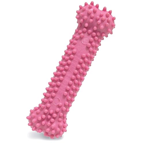 Nylabone Textured Teething Bone Puppy Chew Toy, Soothing Puppy Teething