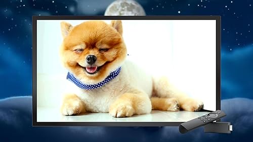Música calmante para gatos-relaxamento, sono profundo, alívio do estresse para Tv e Tablets