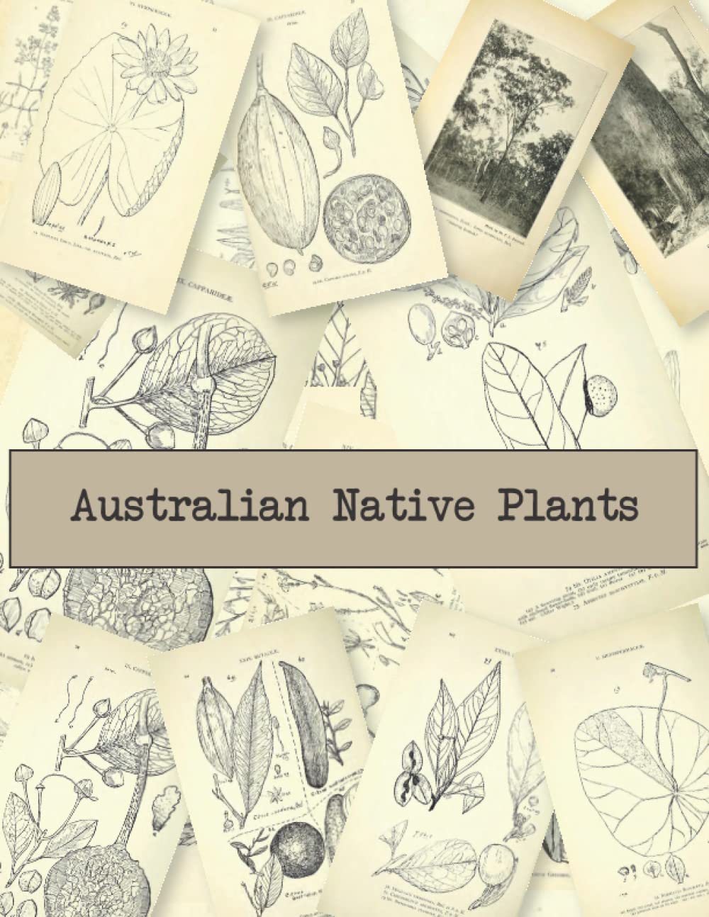 Australian Native Plants: An Amazing Collection For Cut Collage, and To Be Used For Junk Journaling & Scrapbooking
