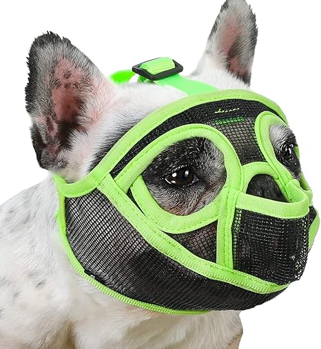 muzzle for shih tzu amazon