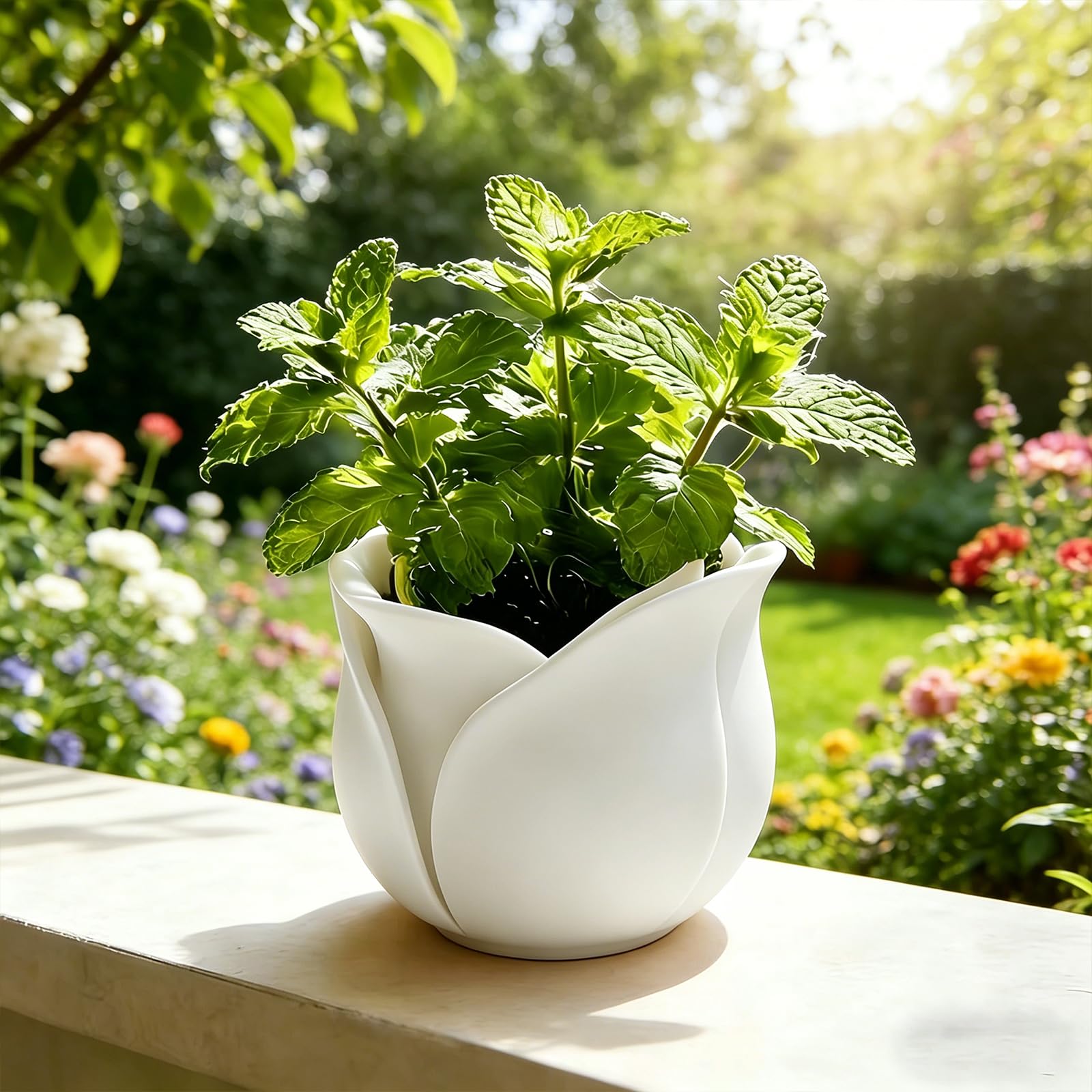 Photo 1 of 1 Pack Rose Shape Succulent Planter Pots Creative Flower  Plant Pots with Drainage Cute Decorative Planters for Indoor Cactus Small Plants Home Office Windowsill Decor?White?