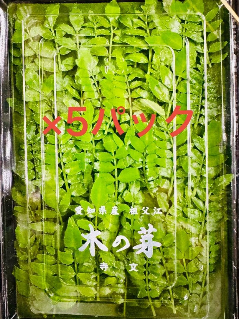 木の芽5パック（愛知県産） Amazon.co.jp: 木の芽5 （愛知県産） : 食品・飲料・お酒
