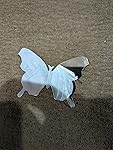 Review Image by Amazon Customer