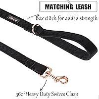 Vista 5 de ARING PET Correa para perro, correas de terciopelo para perro, collares a juego, hecha a mano, resistente correa de terciopelo negro para perros