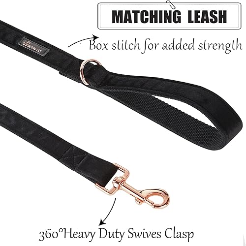 Miniatura 5 de ARING PET Correa para perro, correas de terciopelo para perro, collares a juego, hecha a mano, resistente correa de terciopelo negro para perros