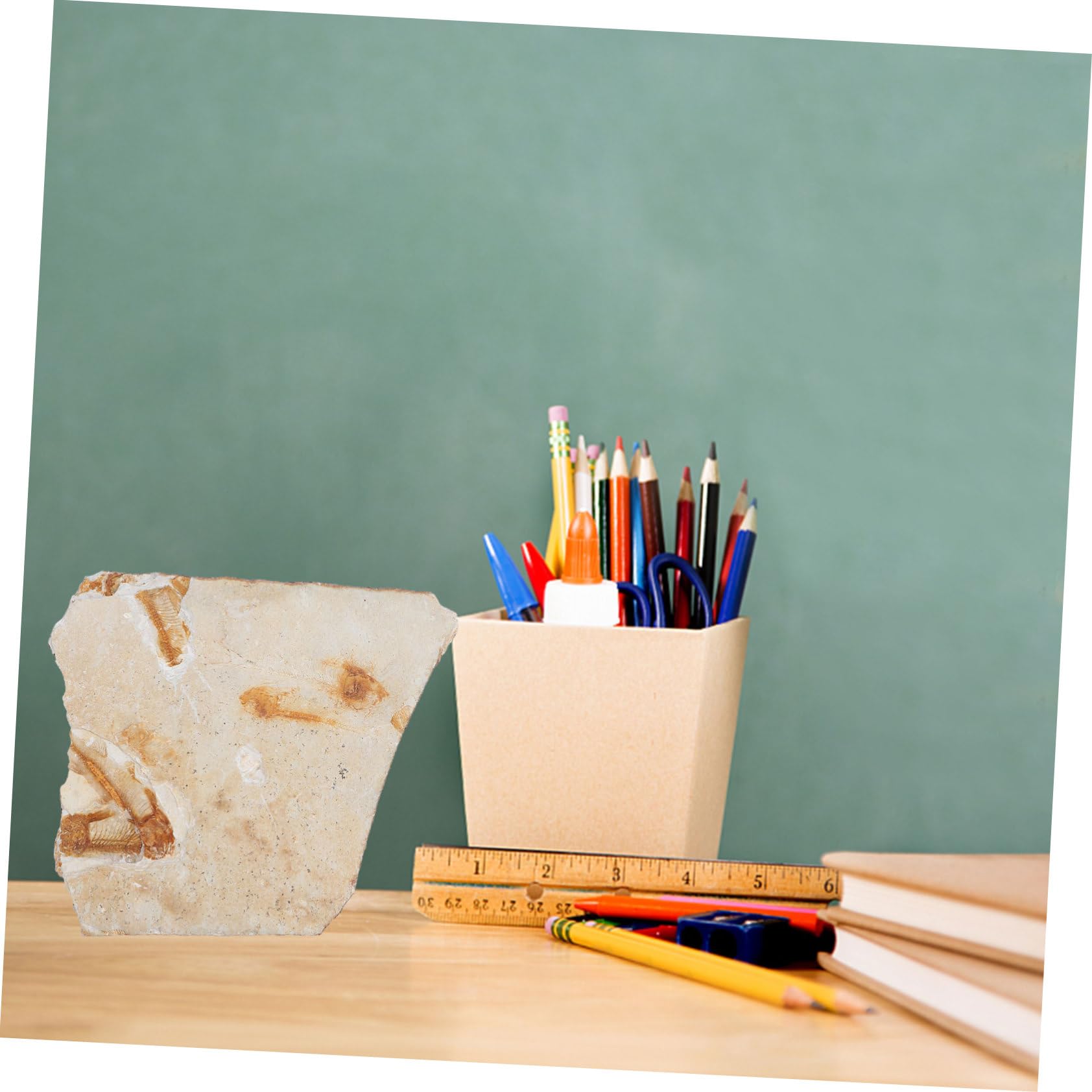 Fósil de Pez de Resina, Pieza Didáctica para Aula y Escritorio