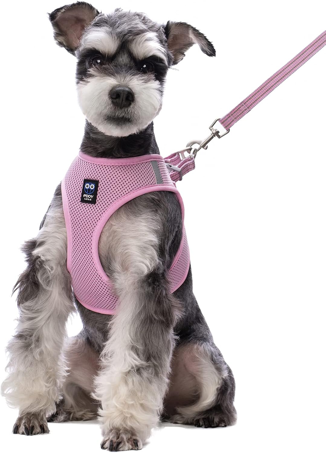 Balaynor Cat Harness and Leash for Walking Escape Proof, Adjustable Soft Mesh